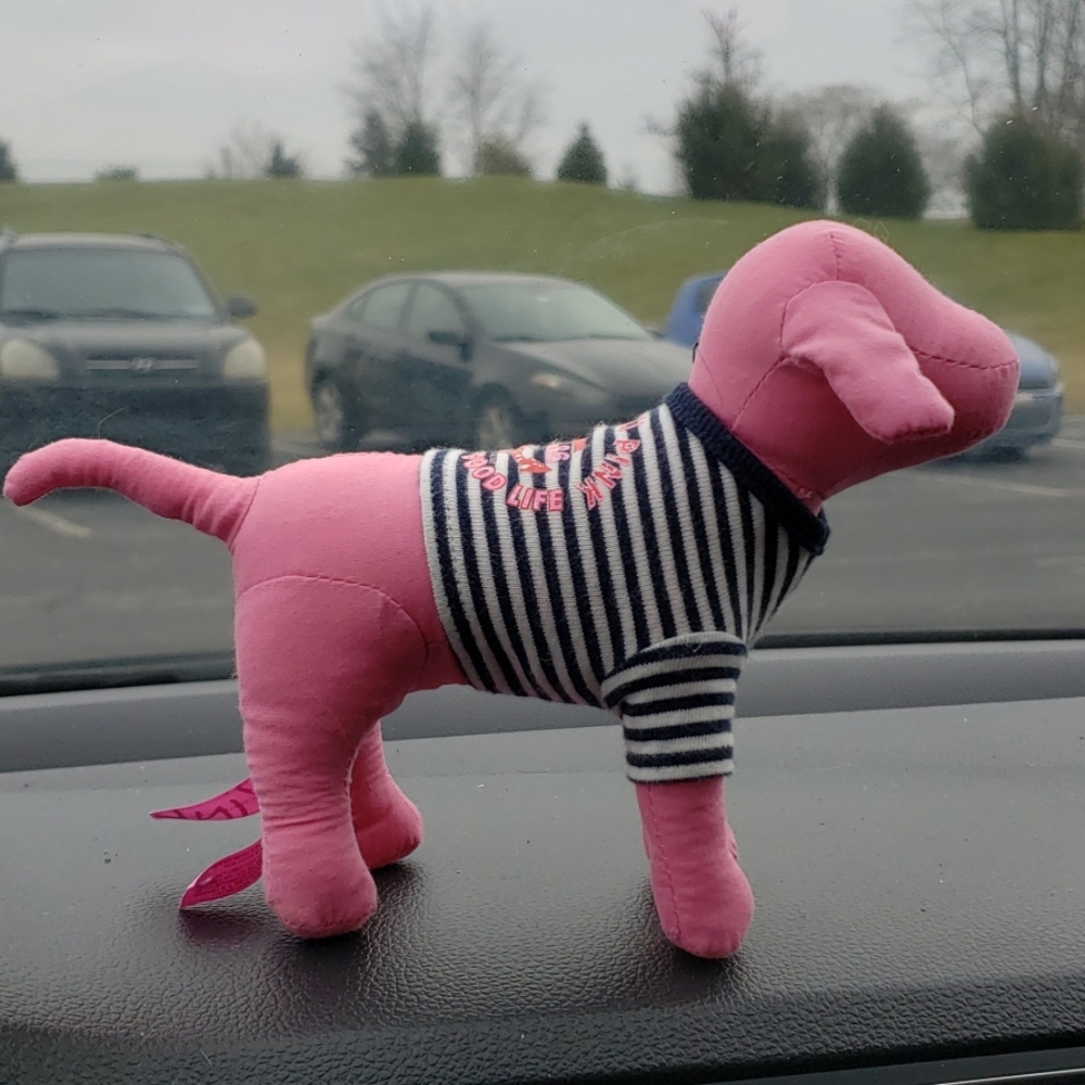 Pink dog